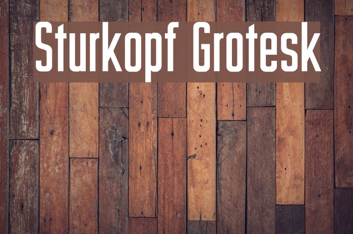 Sturkopf Grotesk Font examples