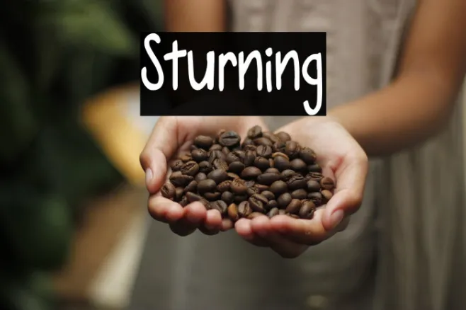 Sturning Example 3
