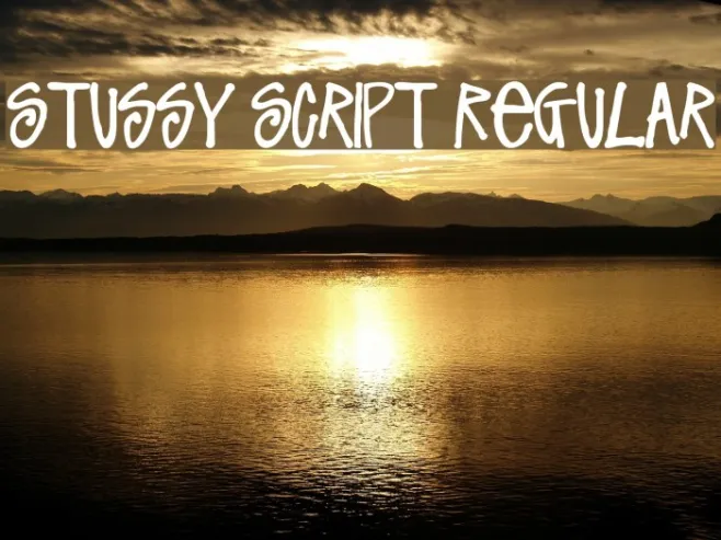 Stussy Script Regular Example 1