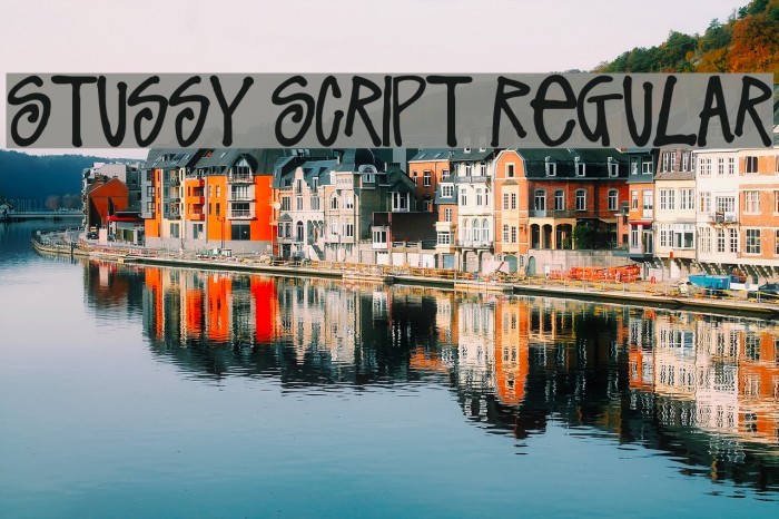 Stussy Script Regular Font examples