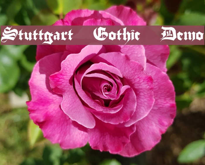 Stuttgart Gothic Demo Font examples