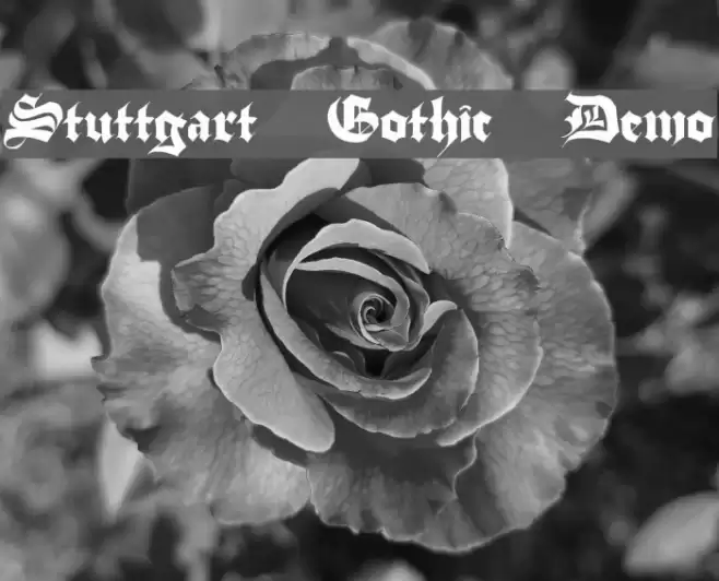 Stuttgart Gothic Demo Polices examples