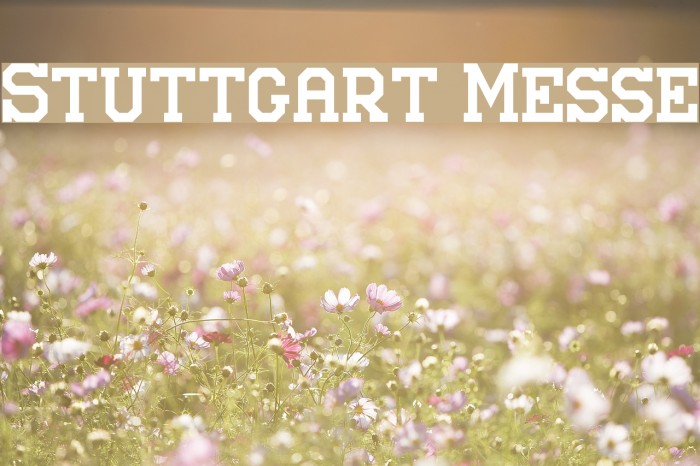 Stuttgart Messe Font examples