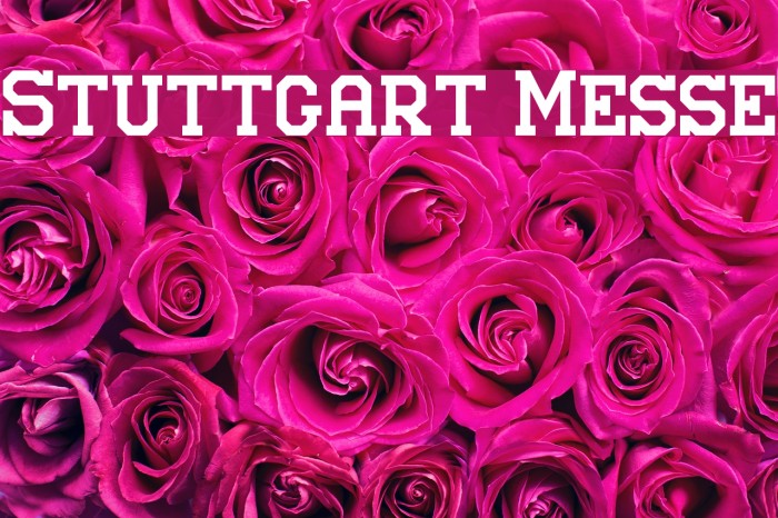 Stuttgart Messe Font examples