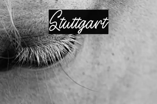 Stuttgart Font examples