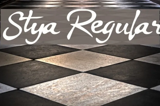 Stya Regular Example 1