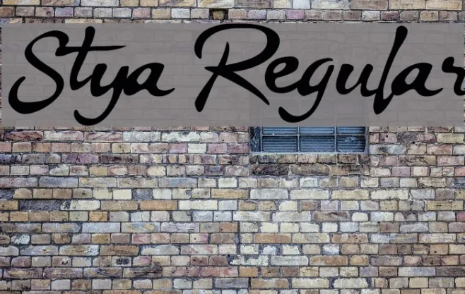 Stya Regular Example 3