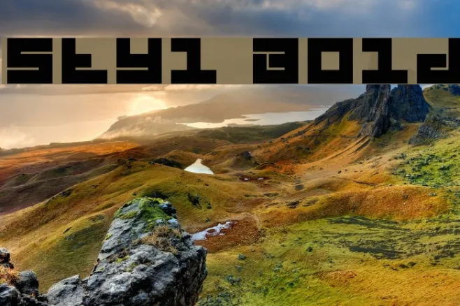 Styl Bold Example 1