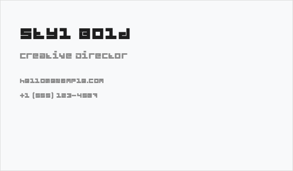 Styl Bold Business Card