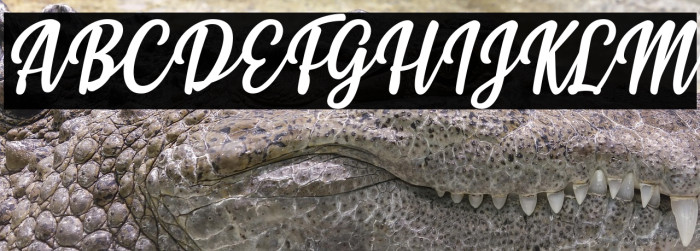 Styla Italic Example 1