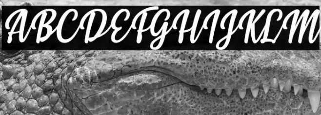 Styla Italic Font examples