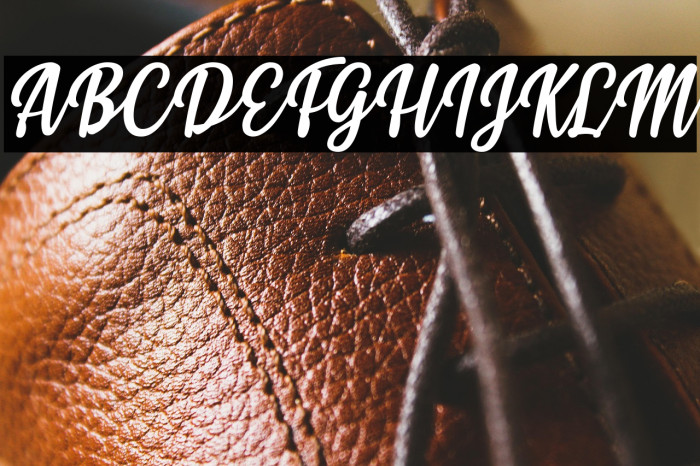 Styla Italic Example 3