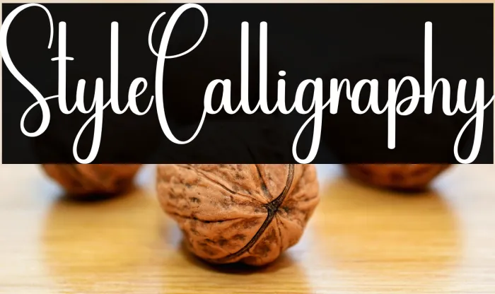 Style Calligraphy Example 3