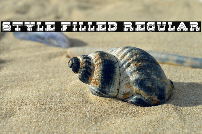 Style Filled Regular Example 3