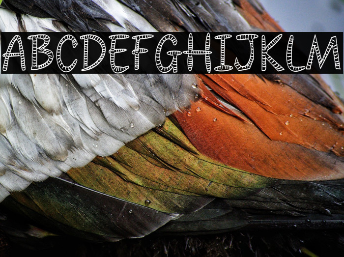 Style Font Example 1