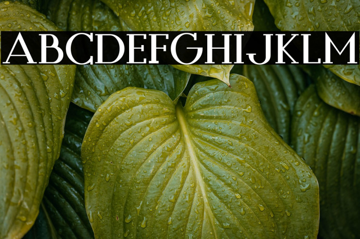 Style Queens Example 3