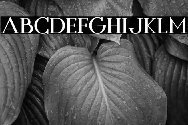 Style Queens Font examples