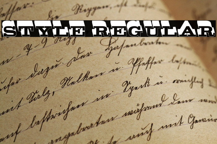 Style Regular Example 3