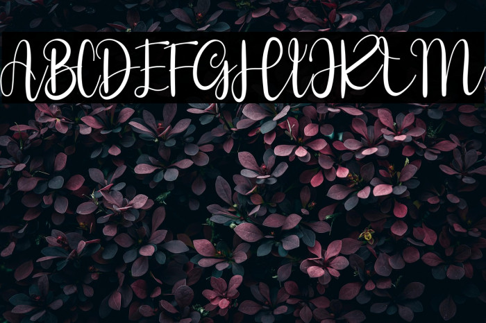 Style Signature Example 1