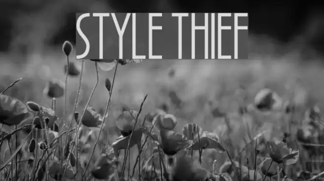 Style Thief Font examples