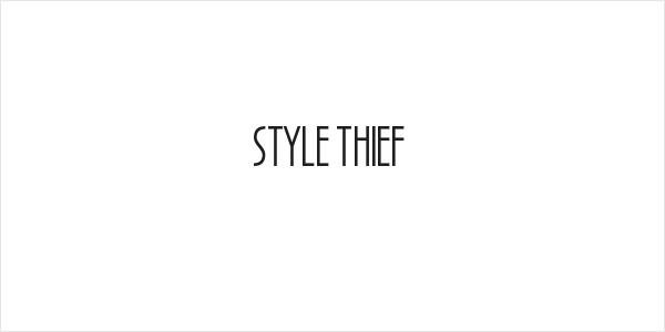 Style Thief Logo