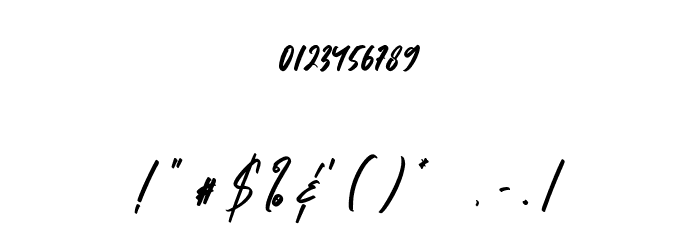 Stylebook Font OTHER CHARS