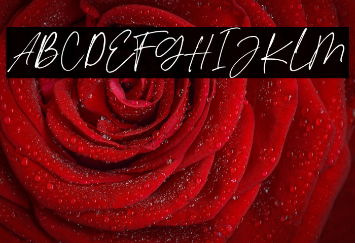 Styled Bright Regular Example 3