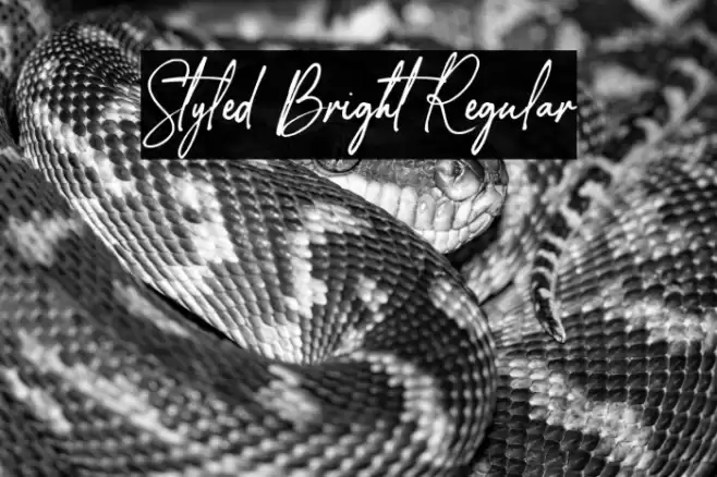 Styled Bright Regular Font examples