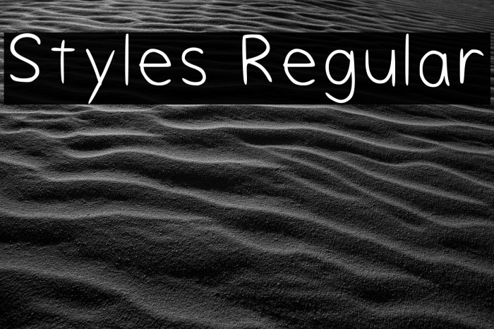Styles Regular Font examples