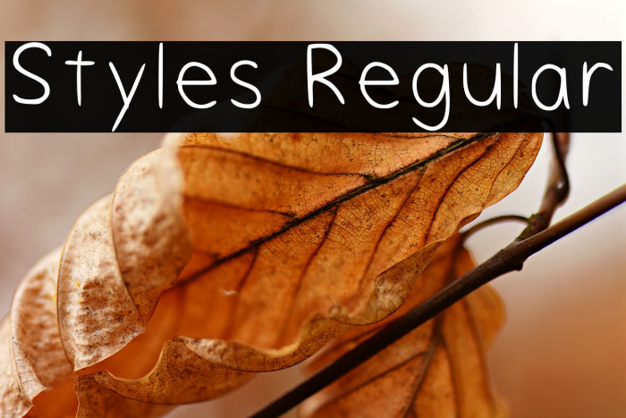 Styles Regular Font examples