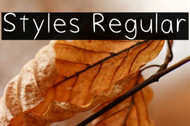 Styles Regular Example 3