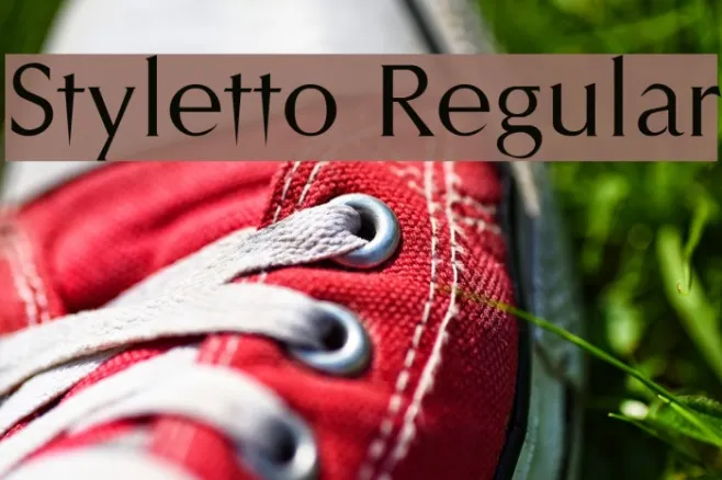 Styletto Regular Example 2