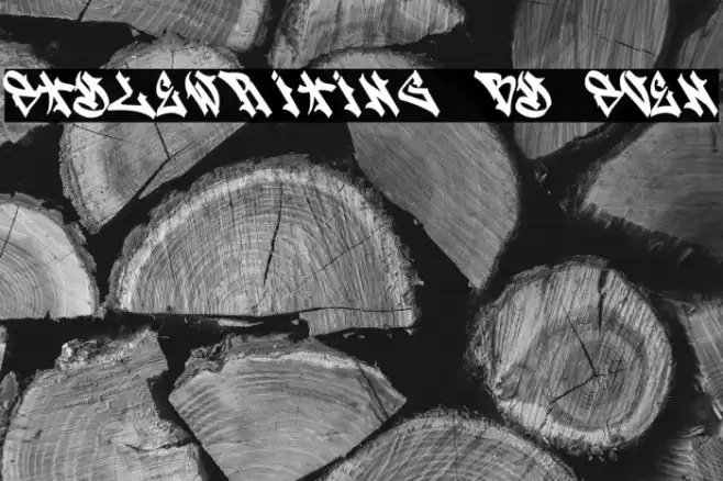 Stylewriting by Sven Font examples