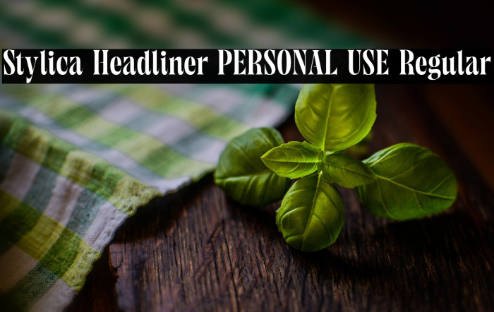 Stylica Headliner PERSONAL USE Regular Example 1