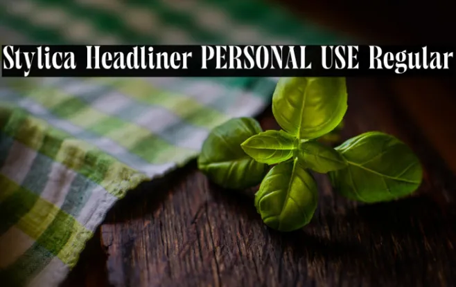 Stylica Headliner PERSONAL USE Regular Example 1