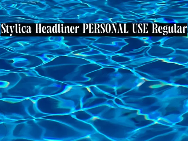 Stylica Headliner PERSONAL USE Regular Example 2