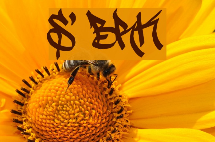 Stylin' BRK Font examples