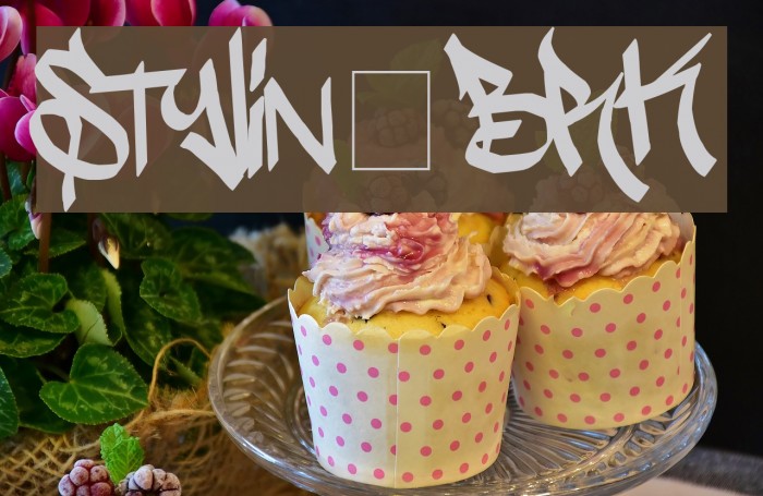 Stylin'BRK Font examples