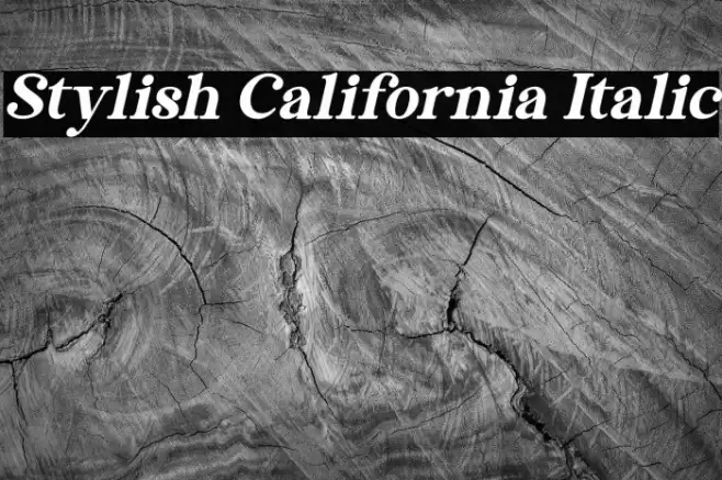 Stylish California Italic Font examples