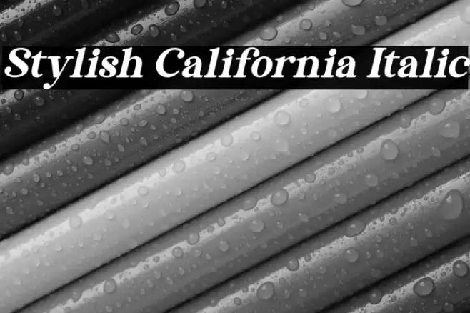 Stylish California Italic Font examples