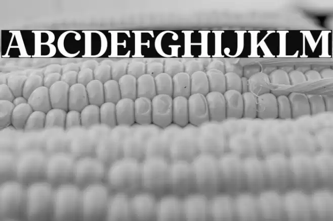 Stylish California Font examples