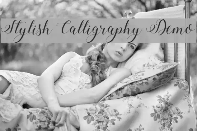 Stylish Calligraphy Demo Font examples