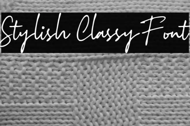 Stylish Classy Font Font examples