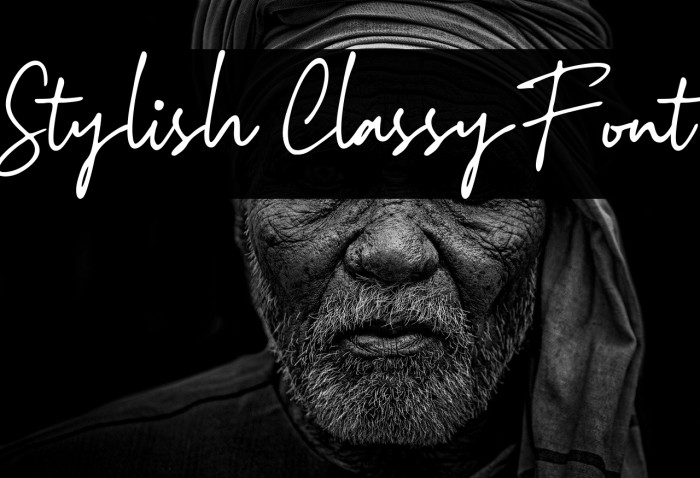 Stylish Classy Font Example 2