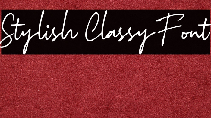 Stylish Classy Font Example 3