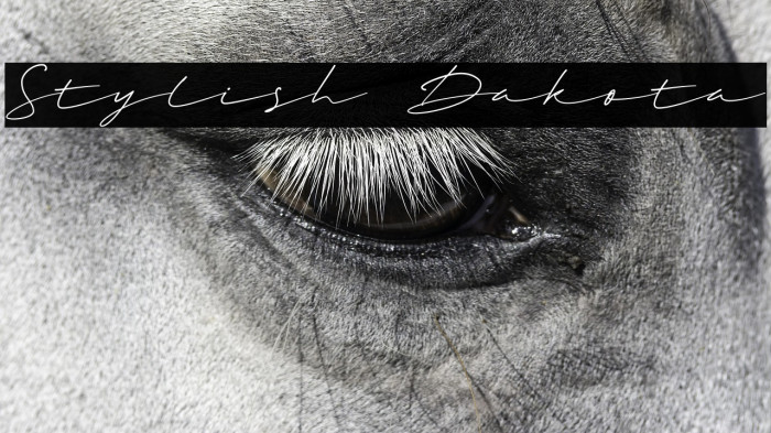 Stylish Dakota Example 2