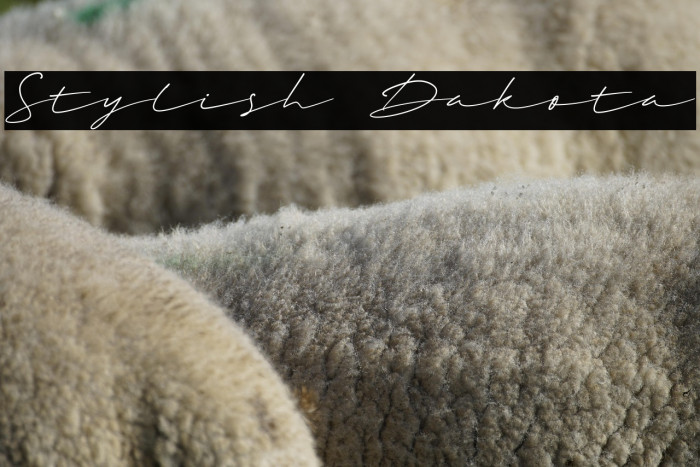 Stylish Dakota Example 3