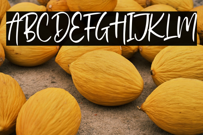 Stylish Garden Example 1