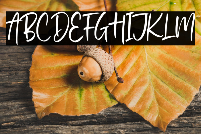 Stylish Garden Example 2