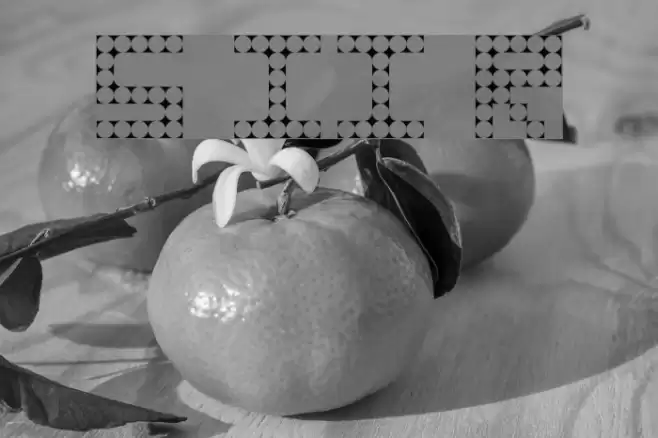 Stylish II Regular Font examples